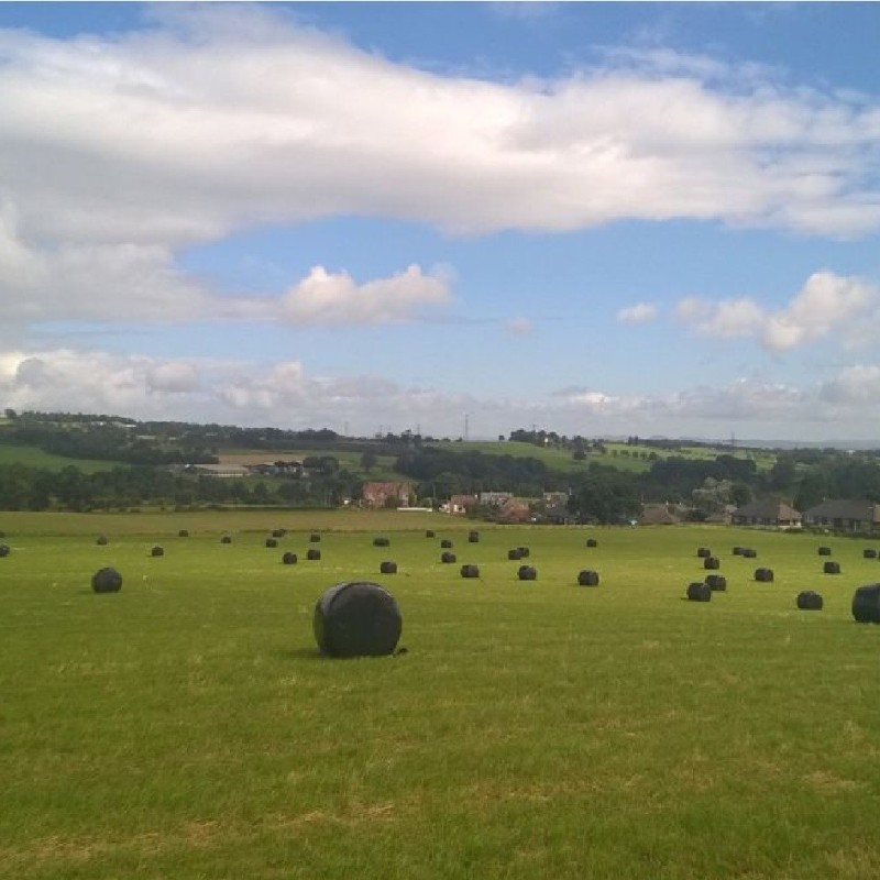 Muckraw Farm