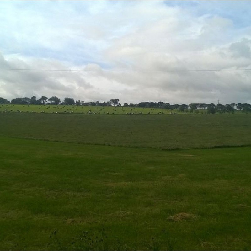 Muckraw Farm