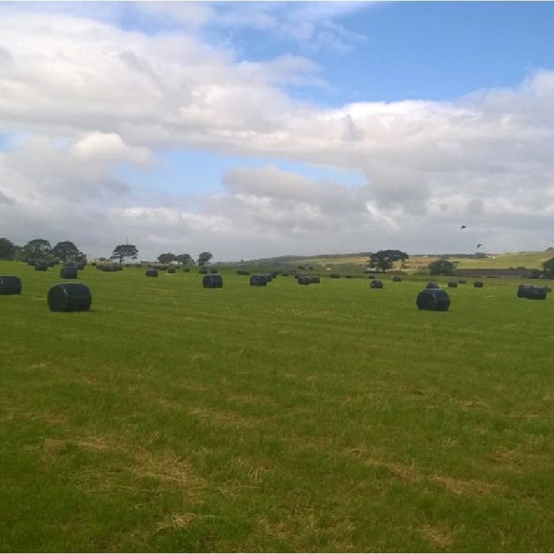 Muckraw Farm