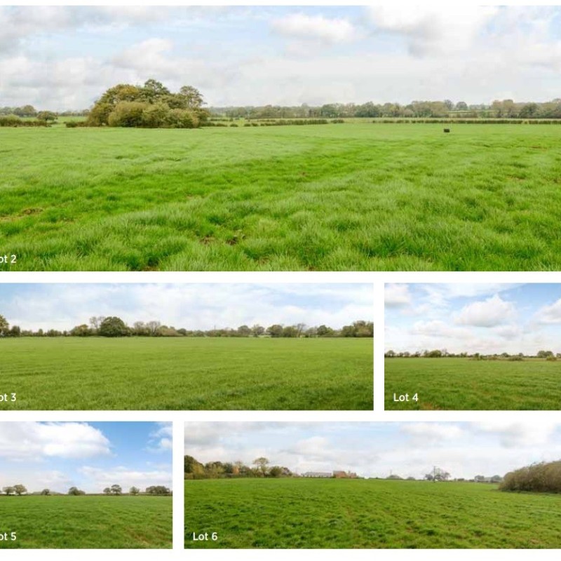 Meadow Farm