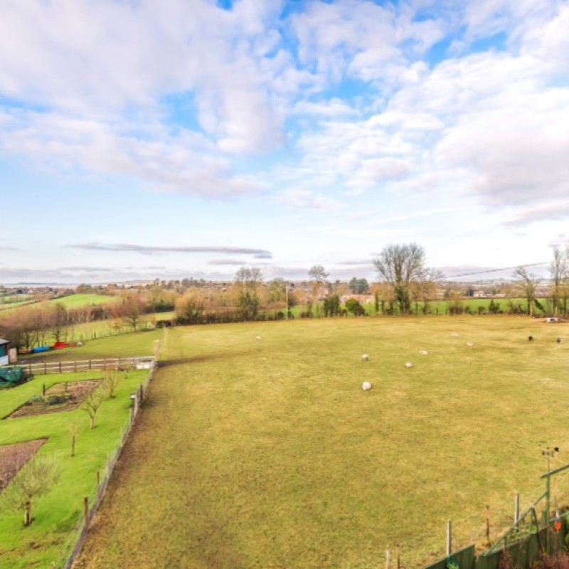 The available land