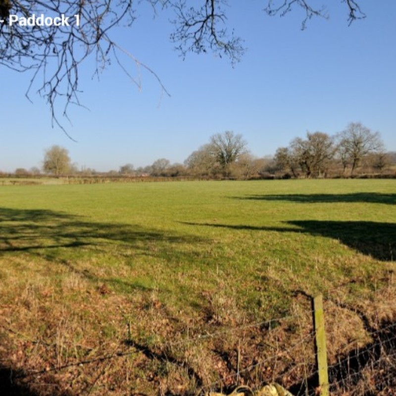 The lot is ideal for equestrian use