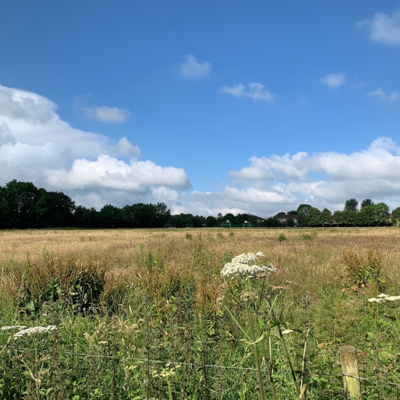 Land at Louise Way & Pump field close