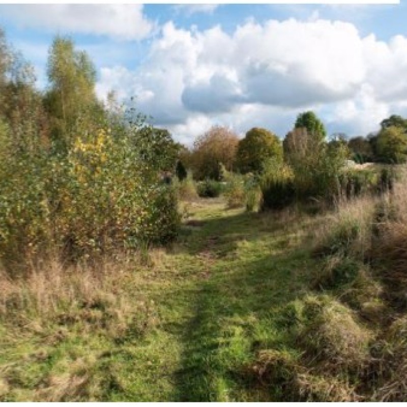 County Lane
