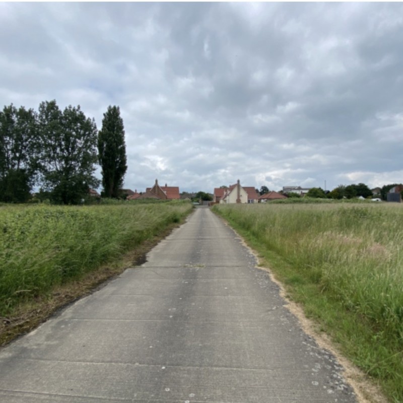 Lark Road