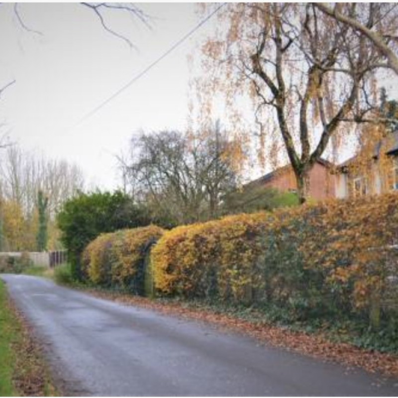 Welfield House