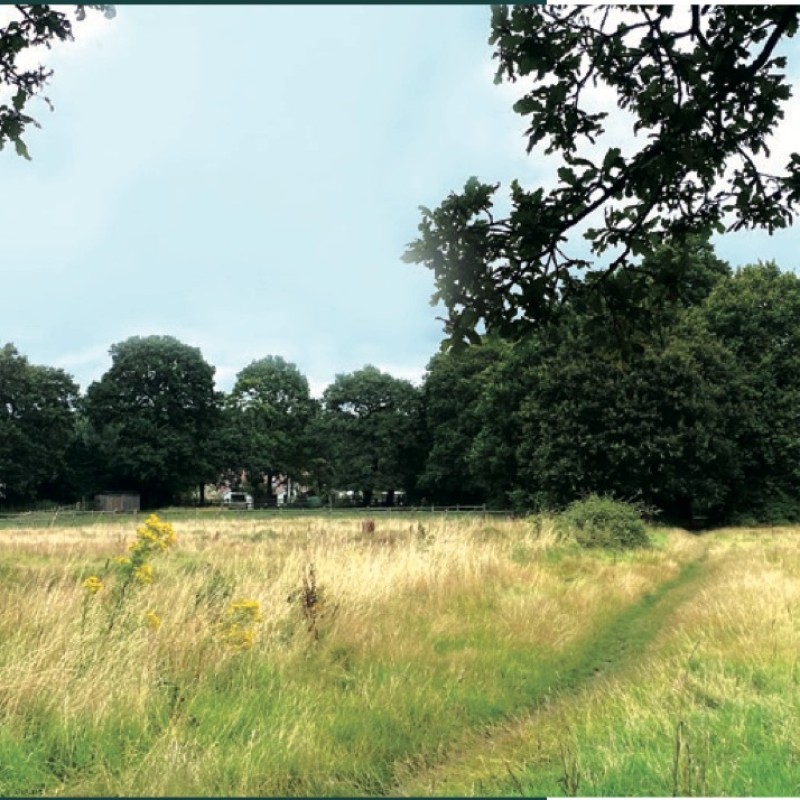Clews Lane