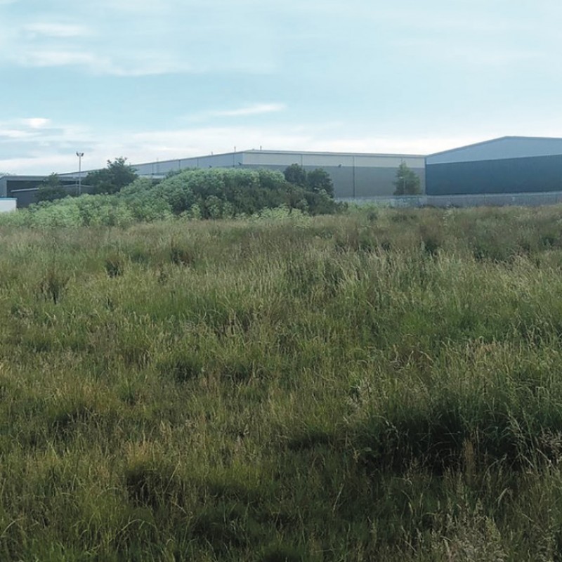 Westfield Trading Estate