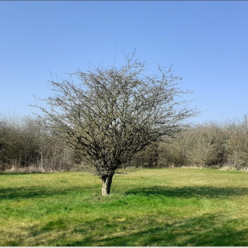 Land off Herrieffs Farm Road