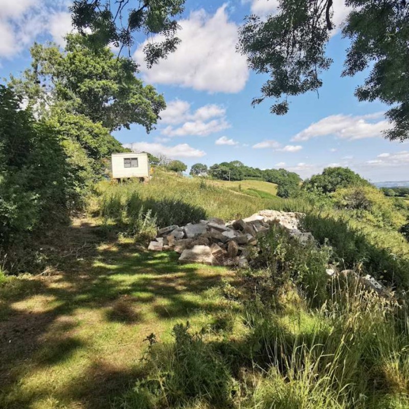 Whitestone